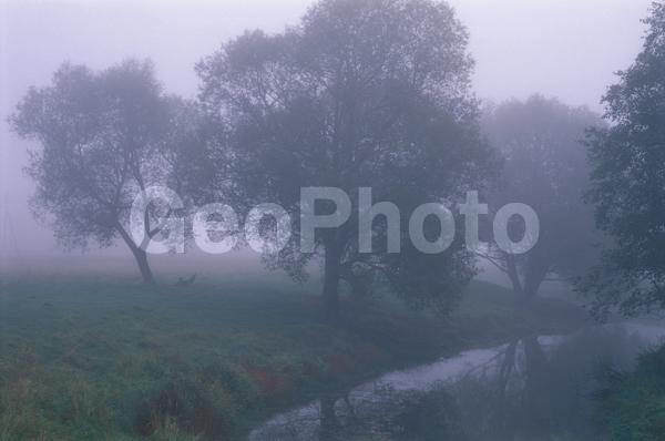 ��������, ������, ����, �����������, �������, ����, ����������, ������, ���, �����, ����, ����, �������