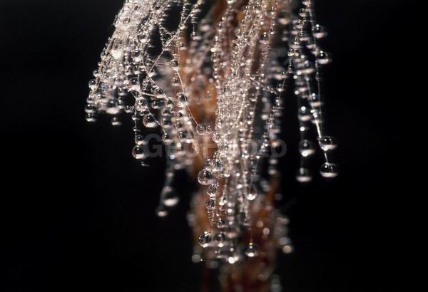 �����, �������, ��������, ����, ��������, ���������, �������������, ��������, ��������, �����, �����, �������������, ��������������, �������������, ��������������