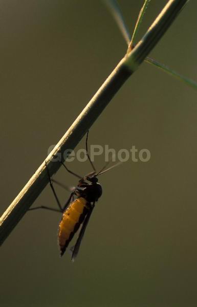 �����, �������, ��������, ����, ��������, ���������, �������������, ��������, ��������, �����, �����, �������������, ��������������, �������������, ��������������