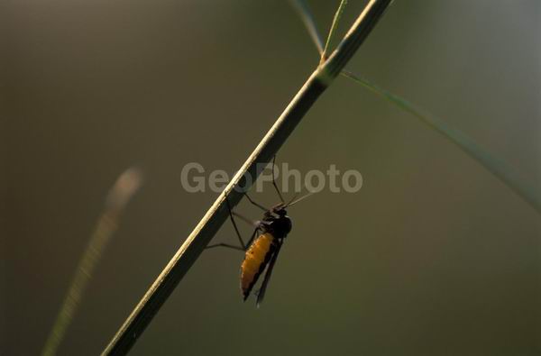 �����, �������, ��������, ����, ��������, ���������, �������������, ��������, ��������, �����, �����, �������������, ��������������, �������������, ��������������