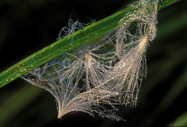 �����, �������, ��������, ����, ��������, ���������, �������������, ��������, ��������, �����, �����, �������������, ��������������, �������������, ��������������