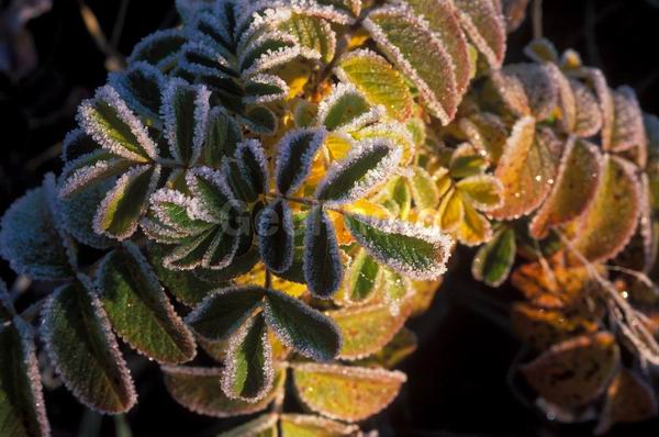 �����, �������, ��������, ����, ��������, ���������, �������������, ��������, ��������, �����, �����, �������������, ��������������, �������������, ��������������