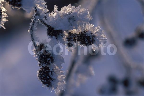 �����, �������, ��������, ����, ��������, ���������, �������������, ��������, ��������, �����, �����, �������������, ��������������, �������������, ��������������