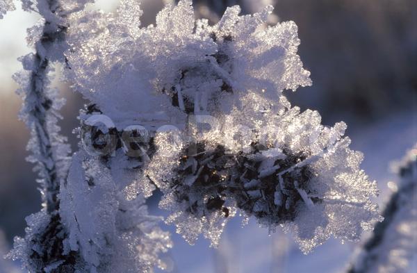 �����, �������, ��������, ����, ��������, ���������, �������������, ��������, ��������, �����, �����, �������������, ��������������, �������������, ��������������