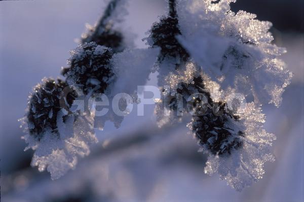 �����, �������, ��������, ����, ��������, ���������, �������������, ��������, ��������, �����, �����, �������������, ��������������, �������������, ��������������