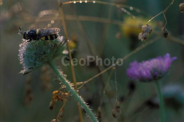 �����, �������, ��������, ����, ��������, ���������, �������������, ��������, ��������, �����, �����, �������������, ��������������, �������������, ��������������