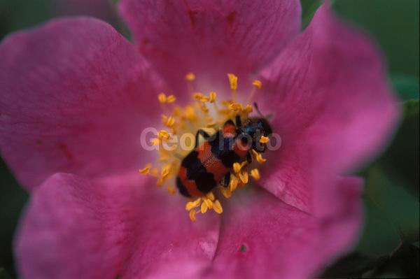 �����, �������, ��������, ����, ��������, ���������, �������������, ��������, ��������, �����, �����, �������������, ��������������, �������������, ��������������