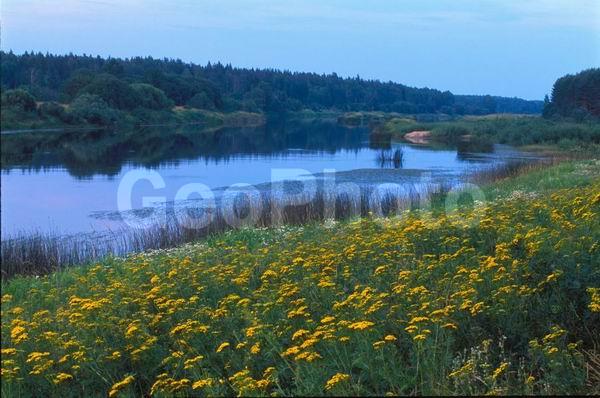 �����, ������, ������, �����, ������ �����, ����, �����, �������, ����