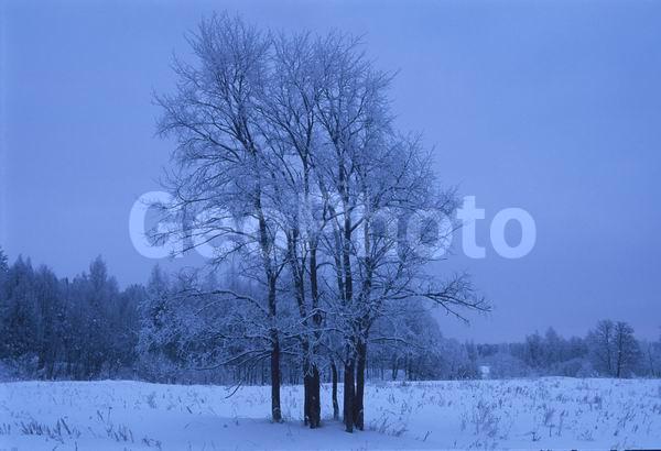 ������, �����, ����, ������� ������, ����, �����, �����, ����, ����������, ������