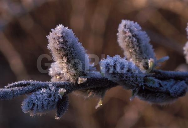 �����, �������, ��������, ����, ��������, ���������, �������������, ��������, ��������, �����, �����, �������������, ��������������, �������������, ��������������