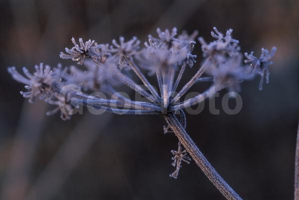 �����, �������, ��������, ����, ��������, ���������, �������������, ��������, ��������, �����, �����, �������������, ��������������, �������������, ��������������