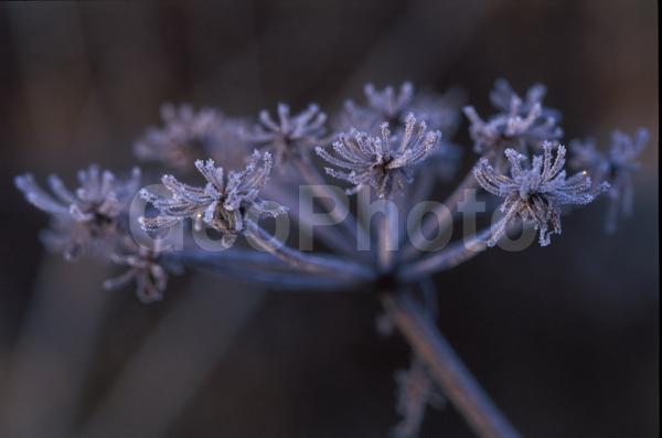 �����, �������, ��������, ����, ��������, ���������, �������������, ��������, ��������, �����, �����, �������������, ��������������, �������������, ��������������