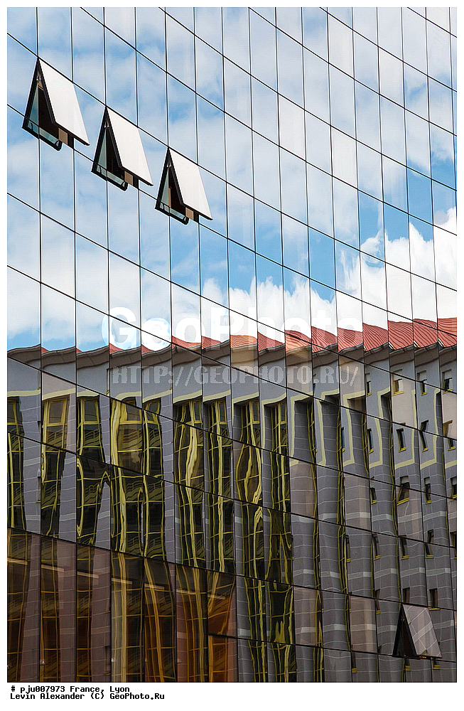 �������, ����