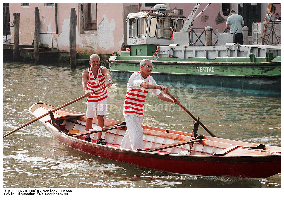 ������, �������, ������
