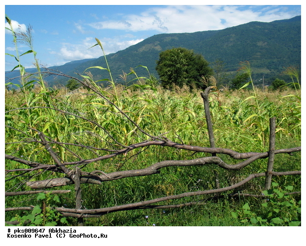 �������, ��������, ����������, ����