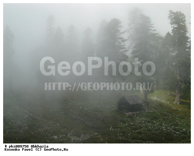 �������, ��������, �������, ����, ������, �����