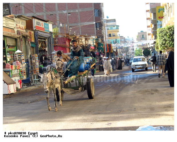 �����, ������, �����, �����