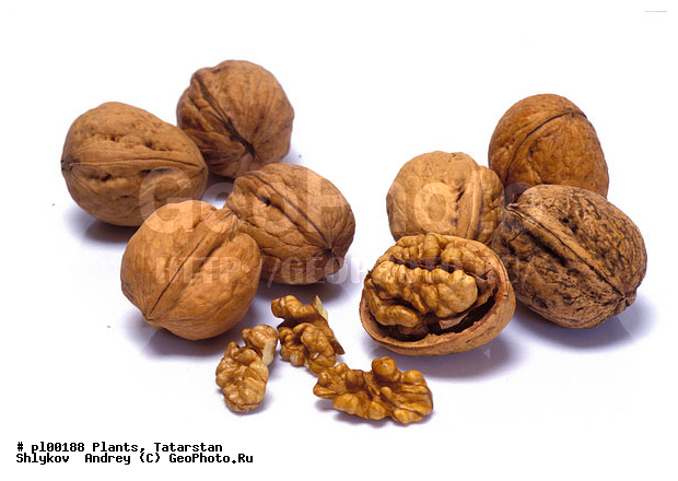 Walnut, nuts, plants
