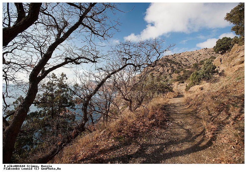 ����, �������� ����������, ���������, ������