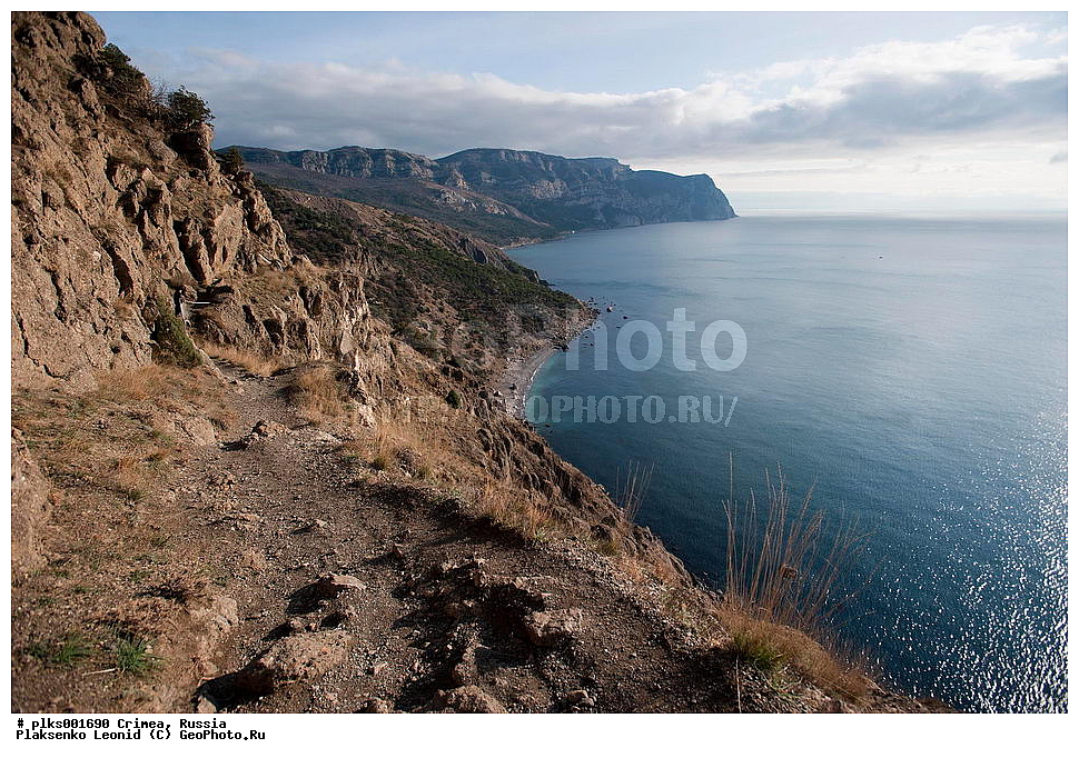 ����, �������� ����������, ���������, ������