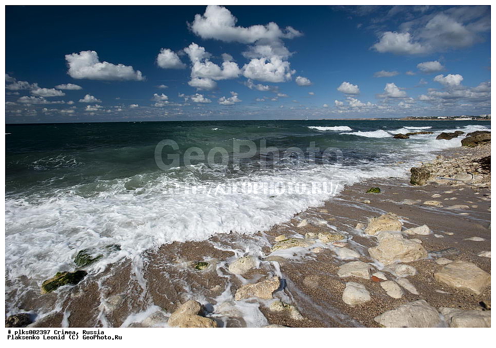 ����, �������� ����������, ������, ��������