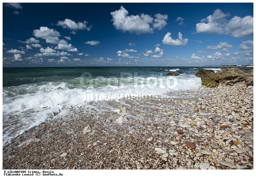 ����, �������� ����������, ������, ��������