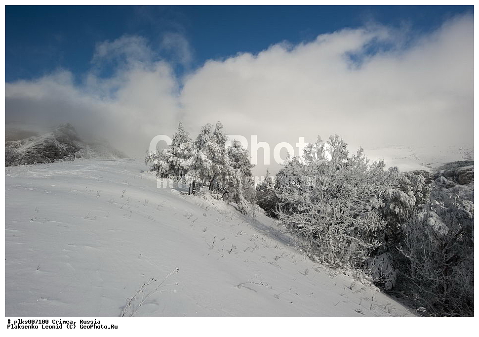 ����, �������� ����������, ������, ���� ��������, ��������-����, ��������-����, ����.