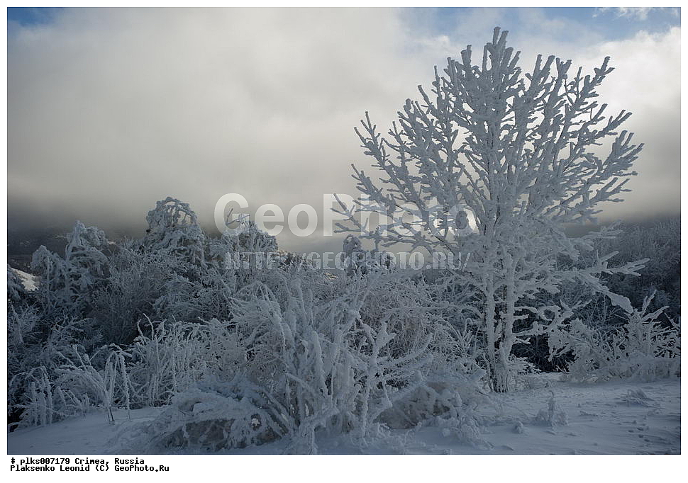 ����, �������� ����������, ������, ���� ��������, ��������-����, ��������-����, ����.