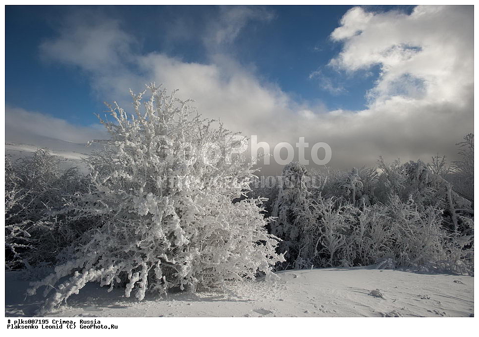 ����, �������� ����������, ������, ���� ��������, ��������-����, ��������-����, ����.