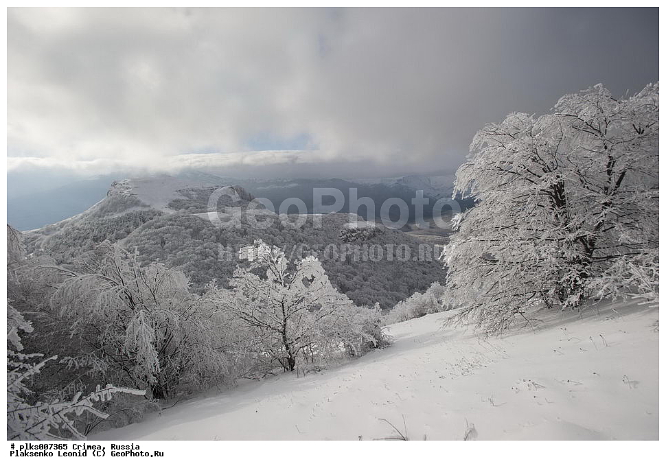  ����, �������� ����������, ������, ���� ��������, ��������-����, ��������-����, ����.