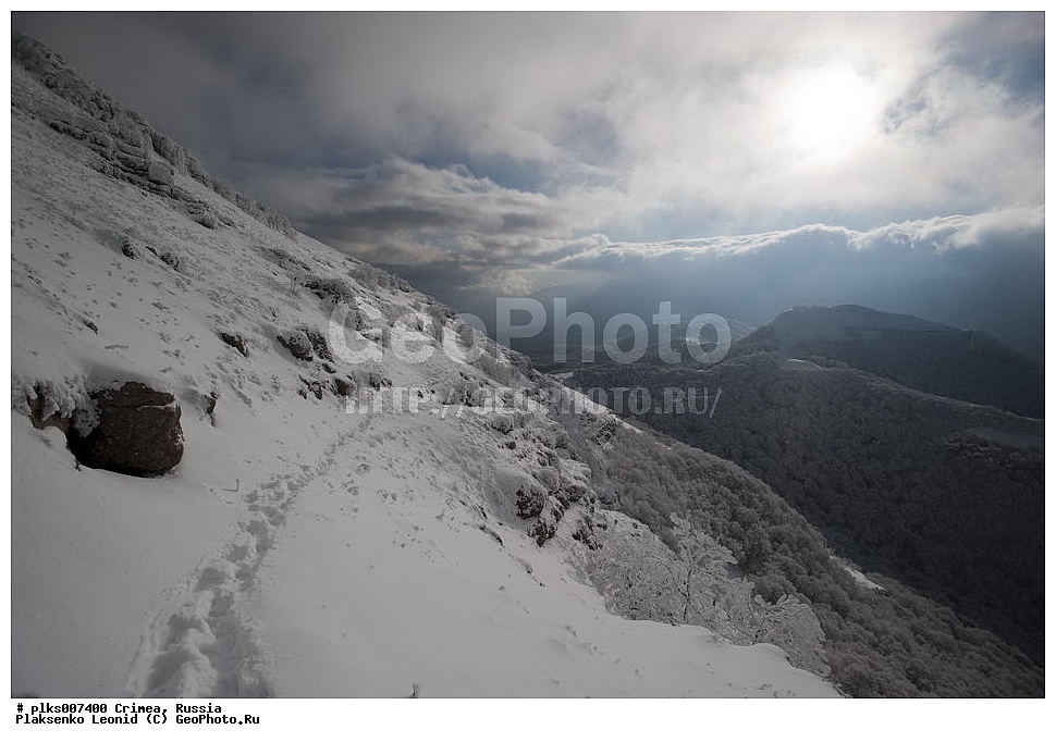  ����, �������� ����������, ������, ���� ��������, ��������-����, ��������-����, ����.