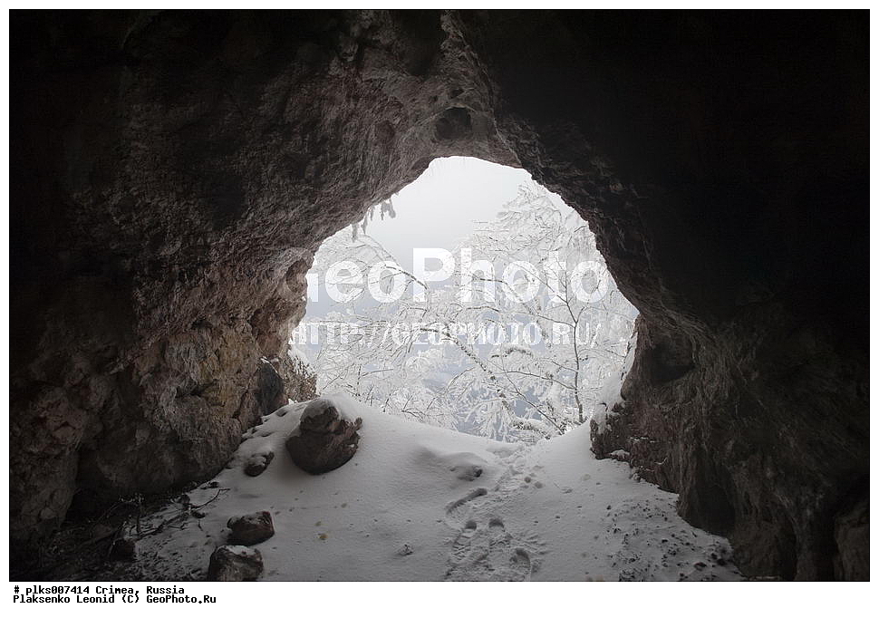 ����, �������� ����������, ������, ���� ��������, ��������-����, ��������-����, ����.