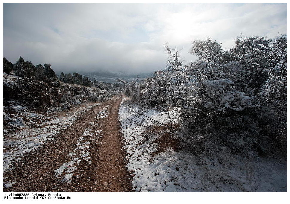 ����, �������� ����������, ���������, ������