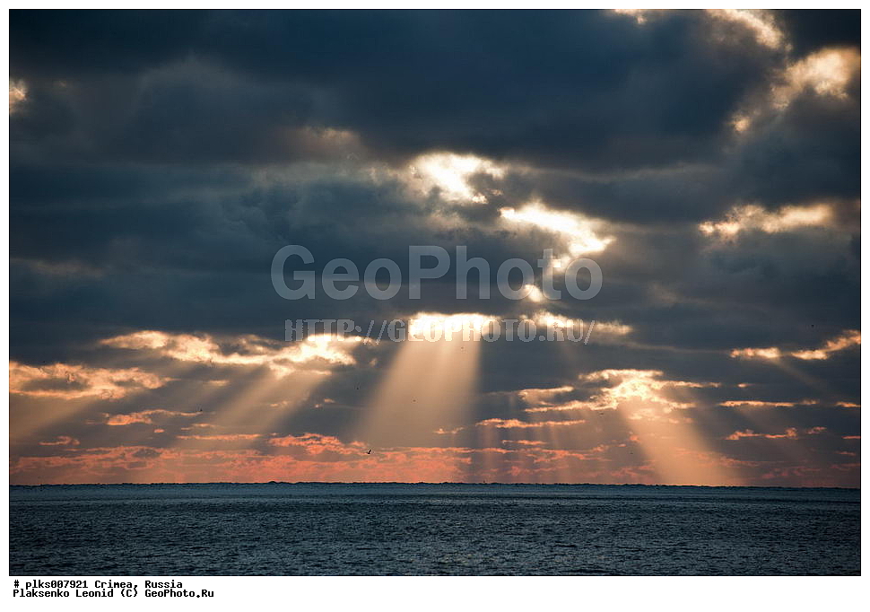 ����, �������� ����������, ������, �������, ������, �����, �� �������� �������, ������, ������� ������, �������, ������������, �������, ��������, ������, ����������, ������, �����, �������, ��������, ������, �������, �����, ����, ����, ��������, �����, �������, ���������, �����