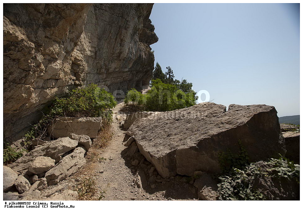 ����, �������� ����������, ������, ���, ���������� �����