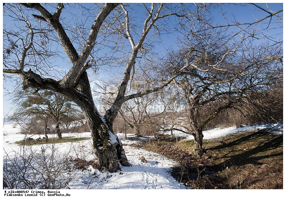  ����, �������� ����������, ������, ��-�����