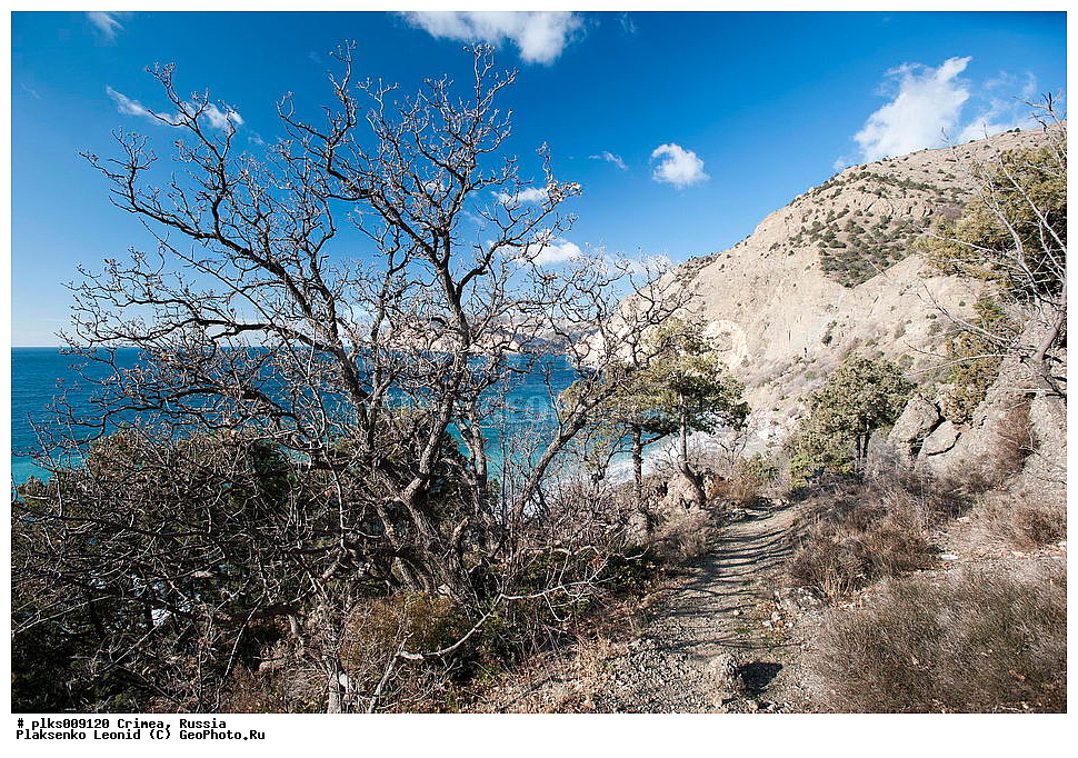 ����, �������� ����������, ���������, ������