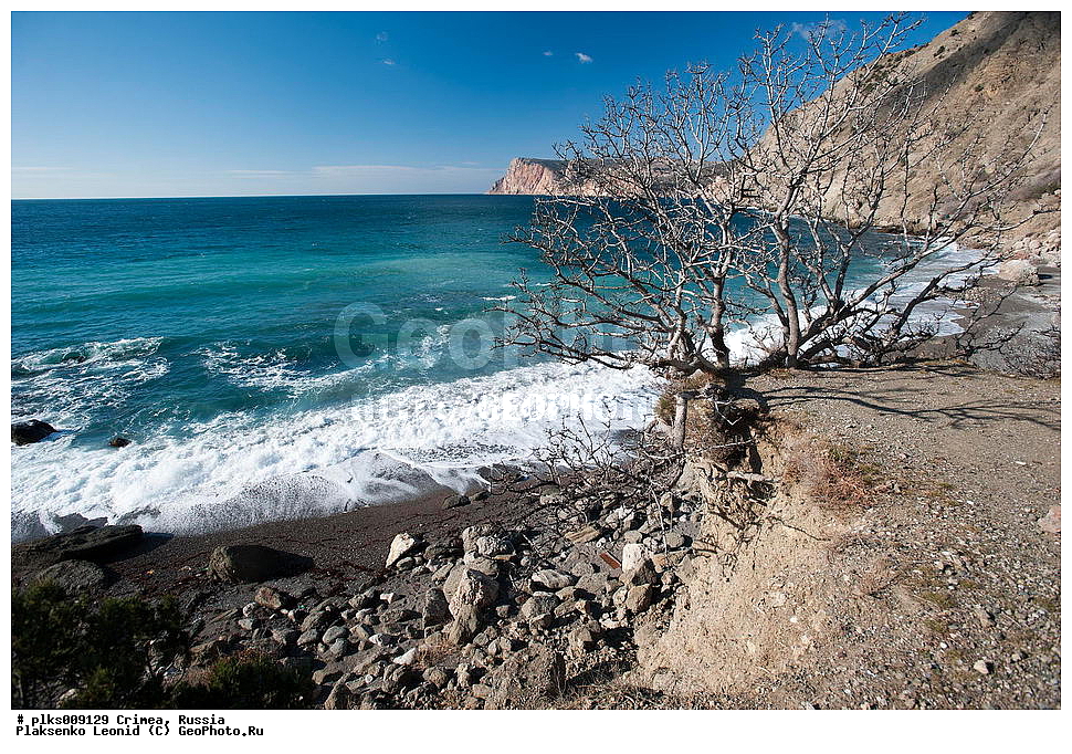 ����, �������� ����������, ���������, ������