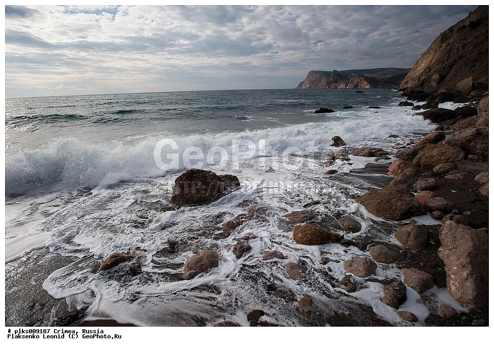 ����, �������� ����������, ���������, ������