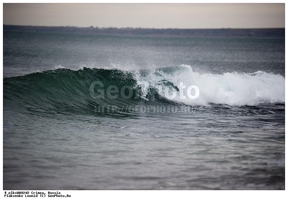 ����, �������� ����������, ������, ��������