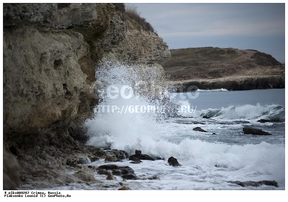 ����, �������� ����������, ������, ��������