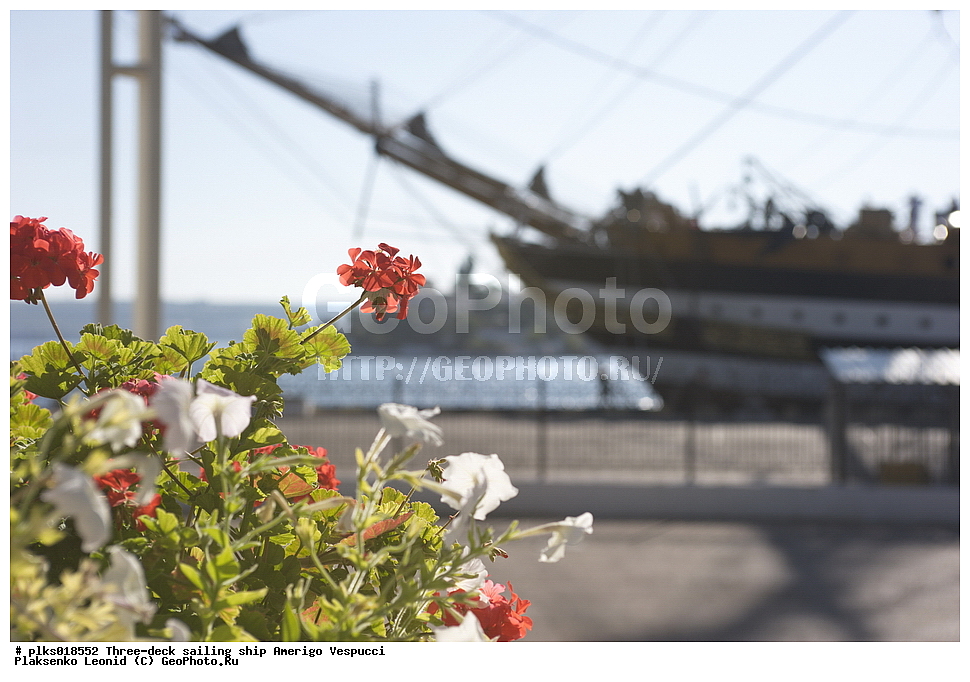 ������������, ��������, ������� �������, �������, �����