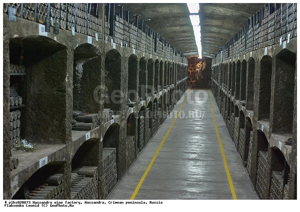 �������������� ����� ���, ���������-�������������� ��������, ������� ��������������, ���������, ����� �����, �������� ����������, ������