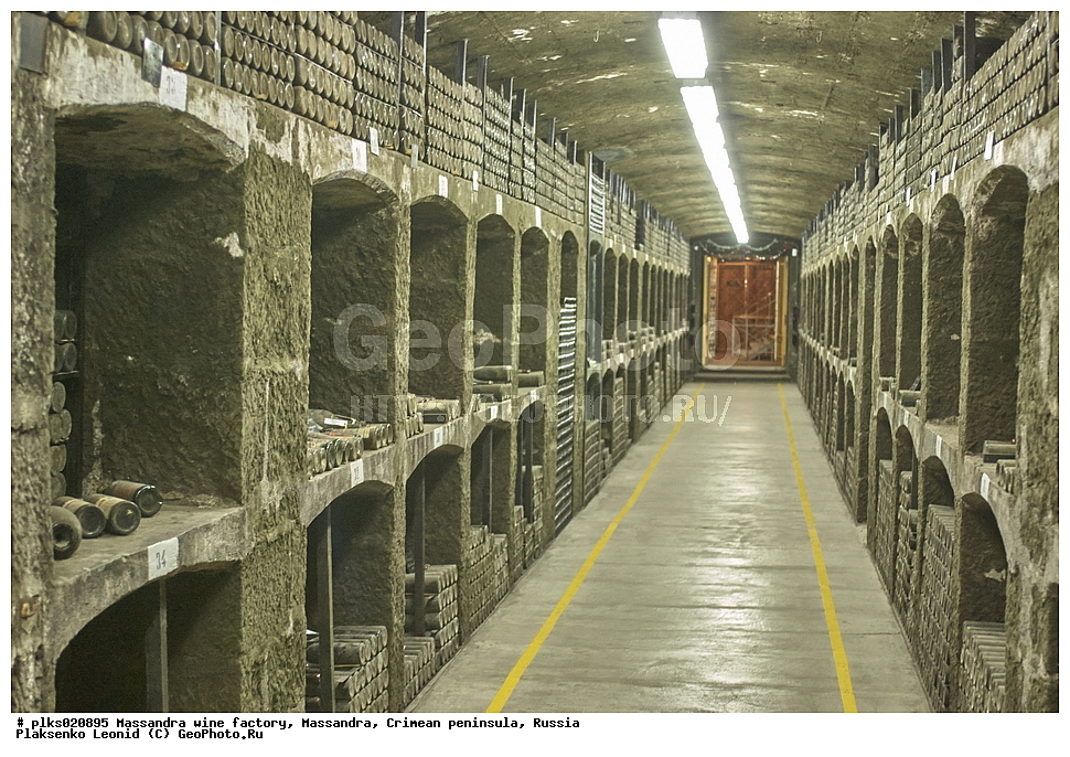 �������������� ����� ���, ���������-�������������� ��������, ������� ��������������, ���������, ����� �����, �������� ����������, ������