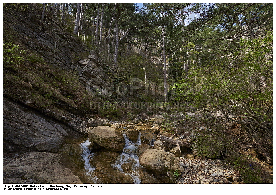 ����, ����-��, ����, �������, �����, ������