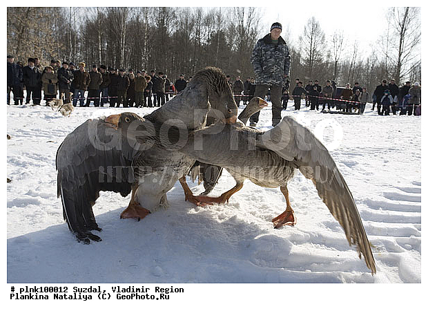 ������� ���, �������, ������, ��������, �������