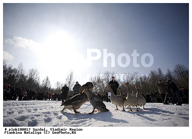 ������� ���, �������, ������, ��������, �������