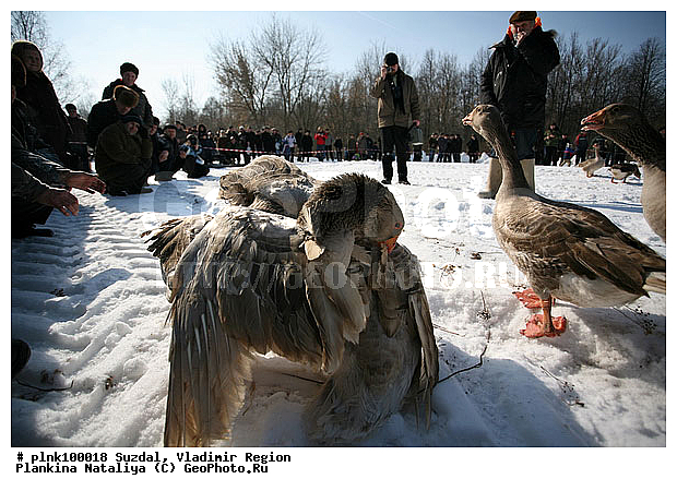 ������� ���, �������, ������, ��������, �������