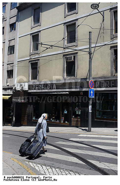 �����, ����������, ��������, �����, �������