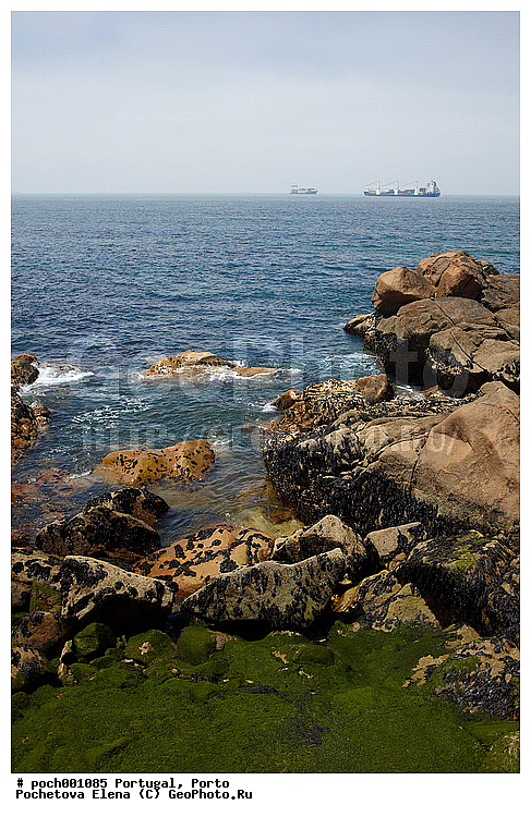 ���������, �������������, �������������, �����, ����������, �����, ����, ���������, �����, �������, ������, �����, �������, �������, ����, ����, �����, ���������, �����, �����, �����